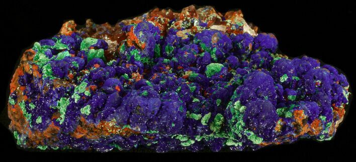 Vivid Azurite on Malachite With Quartz - Morocco #38584